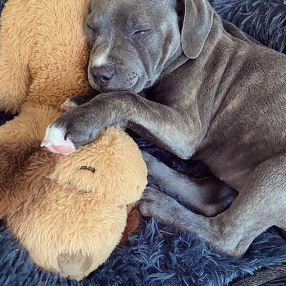Skanto | Snuggle Puppy - Anxiety and Loneliness Reducing Stuffed Animal