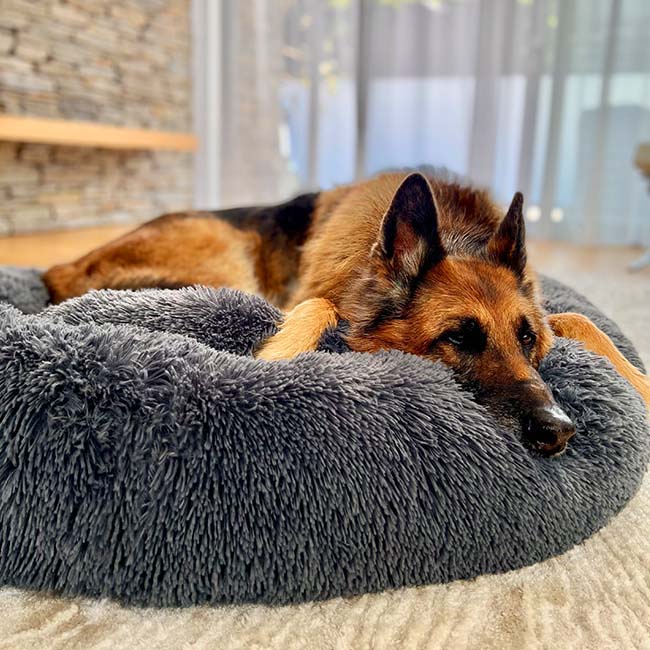 Skanto | Calming Dog Bed
