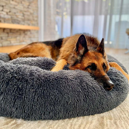 Skanto | Calming Dog Bed