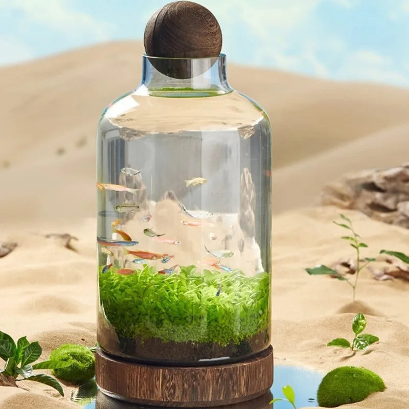 Micro Aquarium Compact Glass Ecological Fish Tank | Bowlift