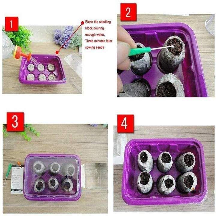 Skanto | Nursery Nutrition Block