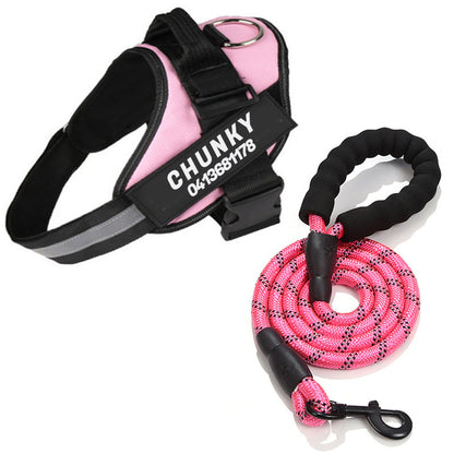 Skanto | Personalized No-Pull Dog Harness with Adjustable Fit