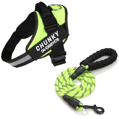Skanto | Personalized No-Pull Dog Harness with Adjustable Fit