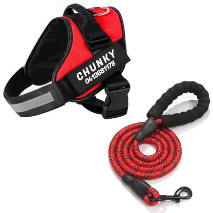 Skanto | Personalized No-Pull Dog Harness with Adjustable Fit
