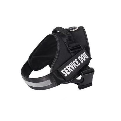Skanto | Personalized No-Pull Dog Harness with Adjustable Fit
