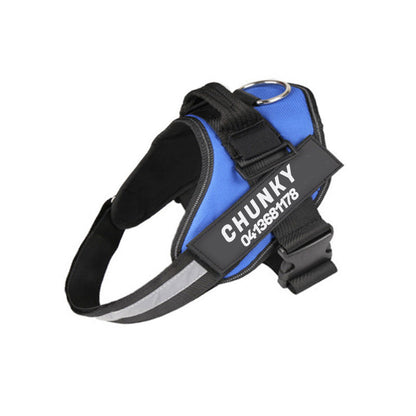 Skanto | Personalized No-Pull Dog Harness with Adjustable Fit