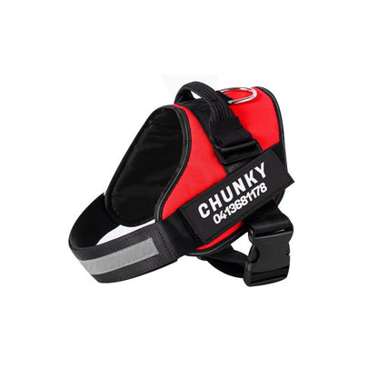 Skanto | Personalized No-Pull Dog Harness with Adjustable Fit