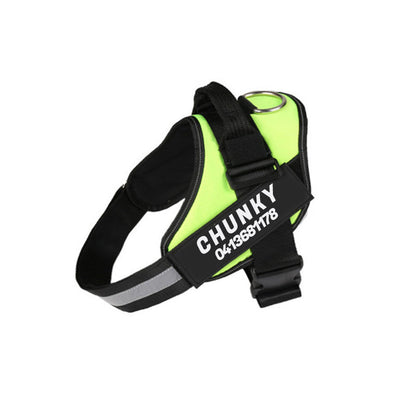 Skanto | Personalized No-Pull Dog Harness with Adjustable Fit