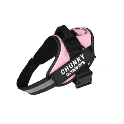 Skanto | Personalized No-Pull Dog Harness with Adjustable Fit