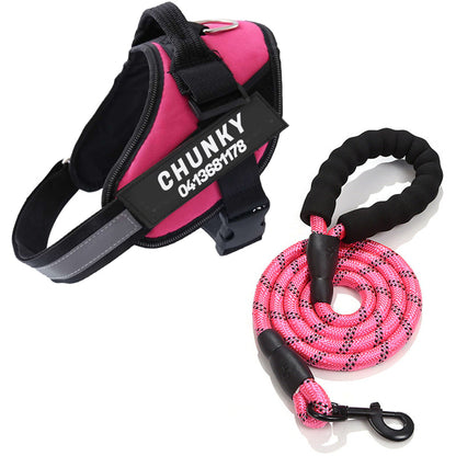 Skanto | Personalized No-Pull Dog Harness with Adjustable Fit