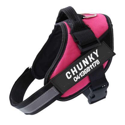 Skanto | Personalized No-Pull Dog Harness with Adjustable Fit