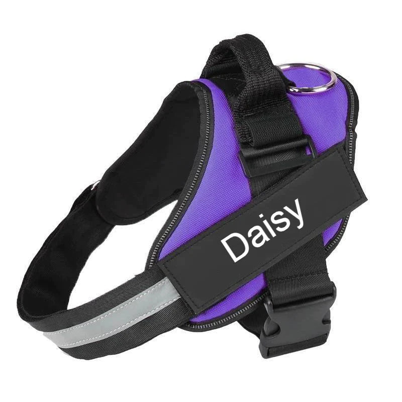 Skanto | Personalized No-Pull Dog Harness with Adjustable Fit