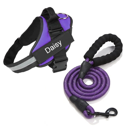 Skanto | Personalized No-Pull Dog Harness with Adjustable Fit