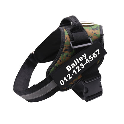 Skanto | Personalized No-Pull Dog Harness with Adjustable Fit