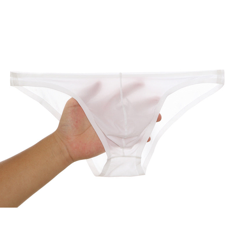 SEAMLESS, ULTRA-THIN, TRANSPARENT BRIEFS MADE OF ICE SILK