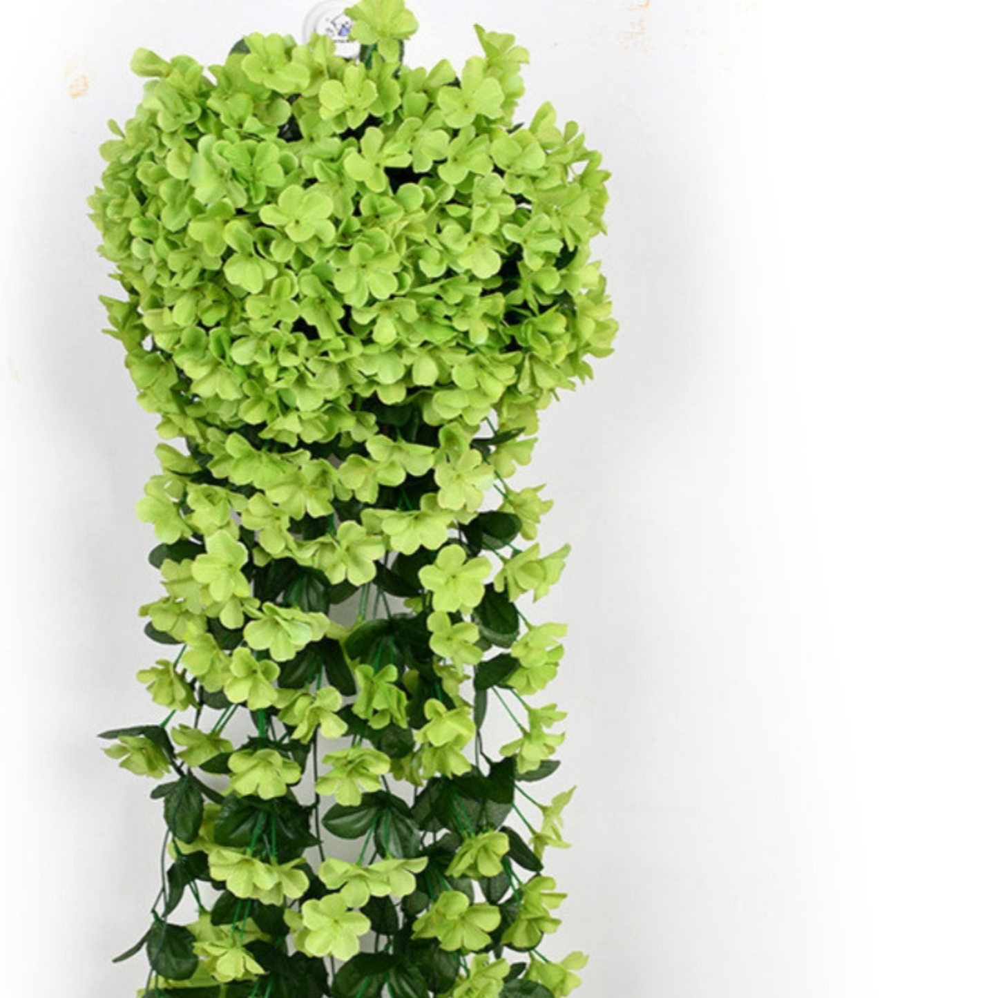 BowLift | PlantGlow – Natural elegance, permanently fresh [Last day discount]