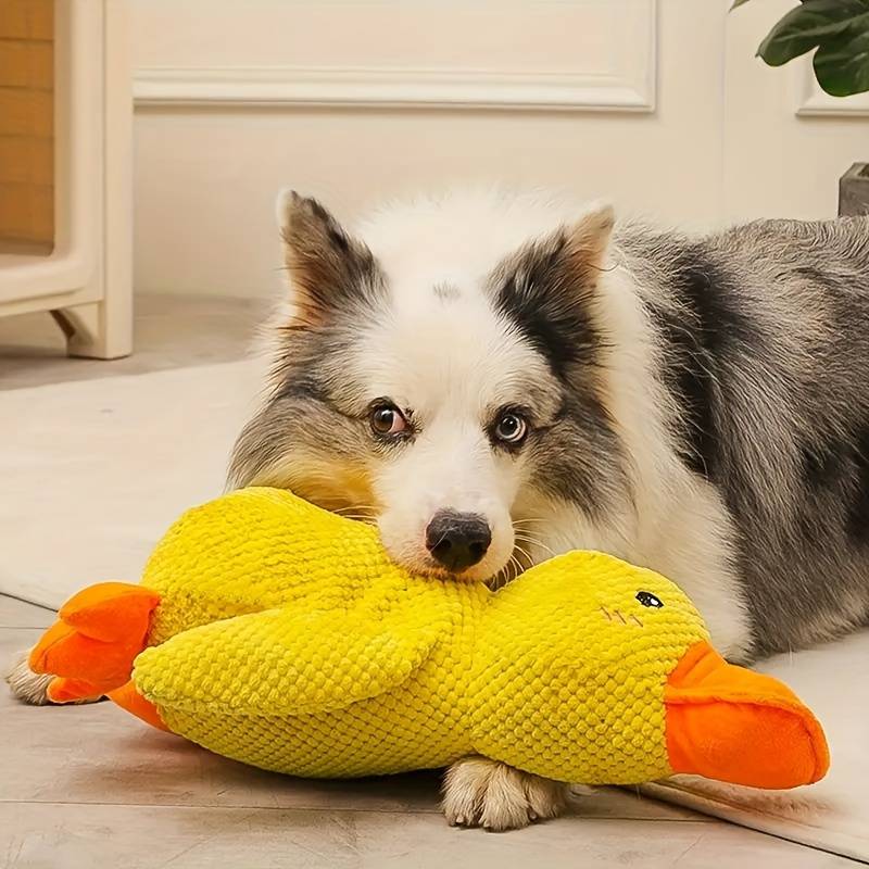 Skanto | Calming Duck for Dogs