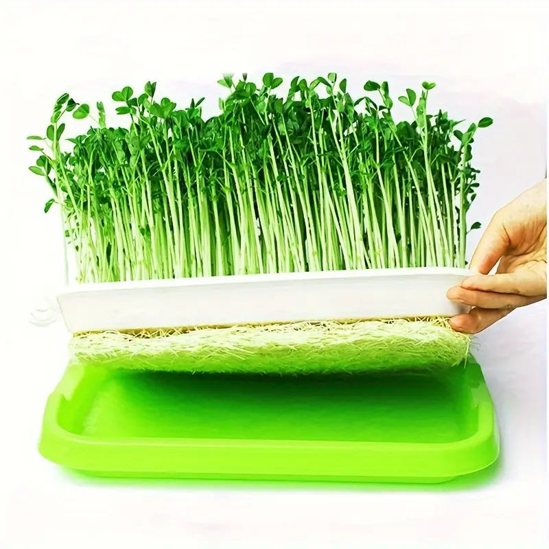 Skanto | Seedling Tray with Lid – Double-Layer Seedling Tray for Efficient Seed Germination