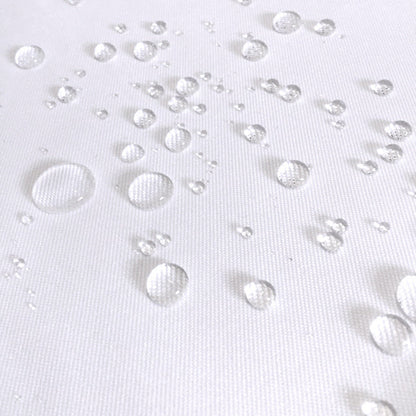 Shower Curtain