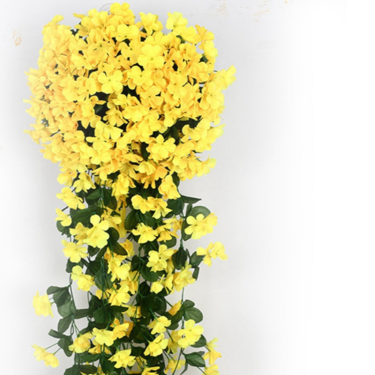 BowLift | PlantGlow – Natural elegance, permanently fresh [Last day discount]