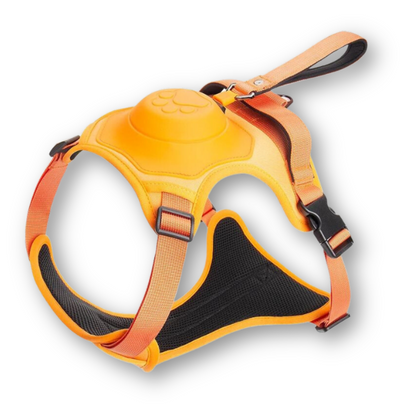 FlexiHarness – Comfortable 2-in-1 Dog Harness with Leash Bowlift