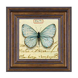 Framed Butterfly Artwork
