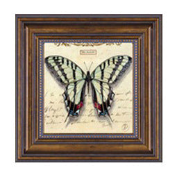 Framed Butterfly Artwork