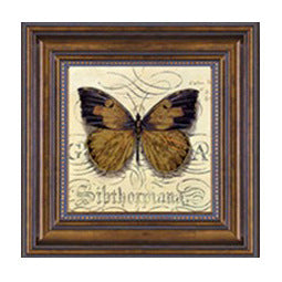 Framed Butterfly Artwork