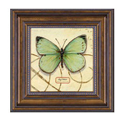 Framed Butterfly Artwork