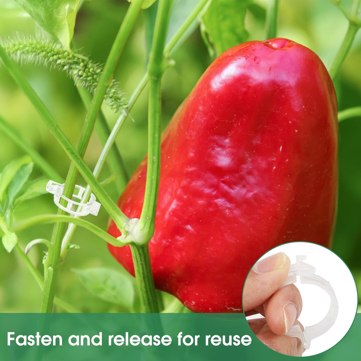 BowLift | Tomato Clips, Plastic Trellis Clips