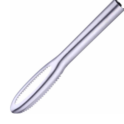 Skanto | Stainless Steel Fish Scaler