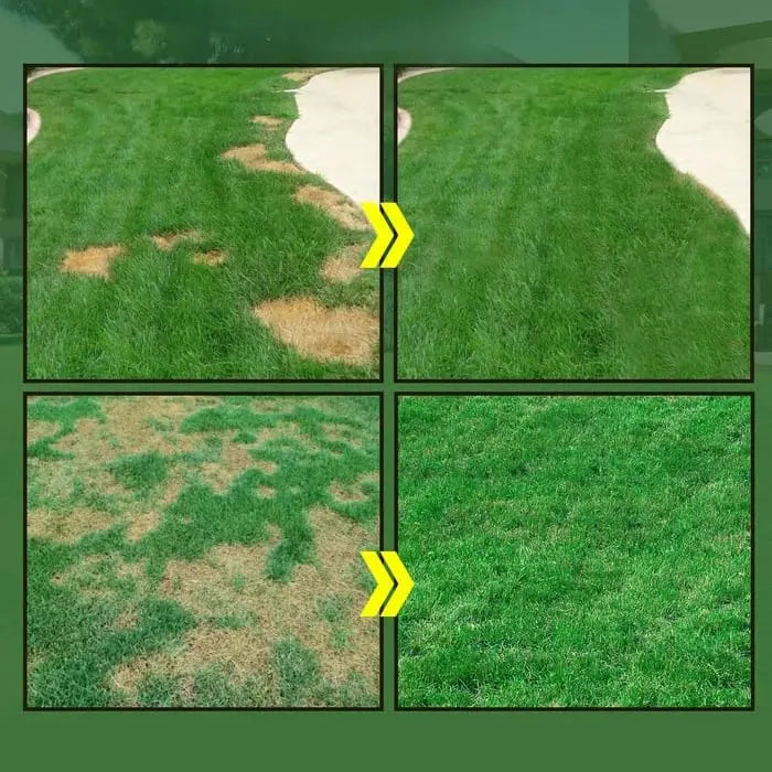 Ready-to-Use Hydroseed Lawn Repair Formula with Up to 40 m² Coverage