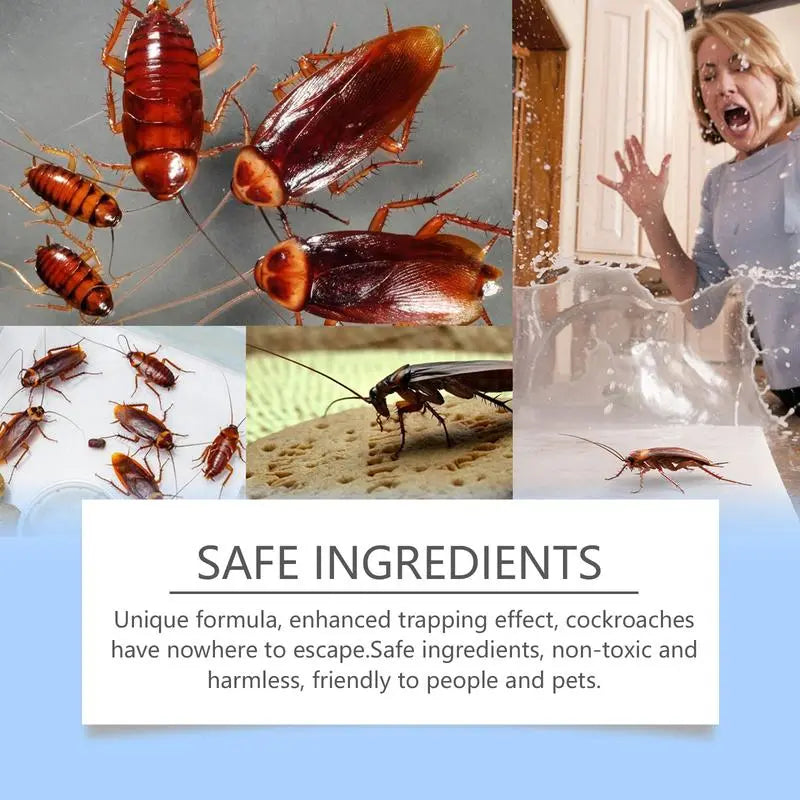 BowLift | Non-toxic cockroach traps with long-lasting effect