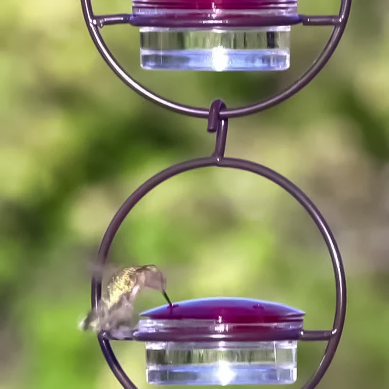 BowLift | Simple Hummingbird Water Dispenser Made of Metal