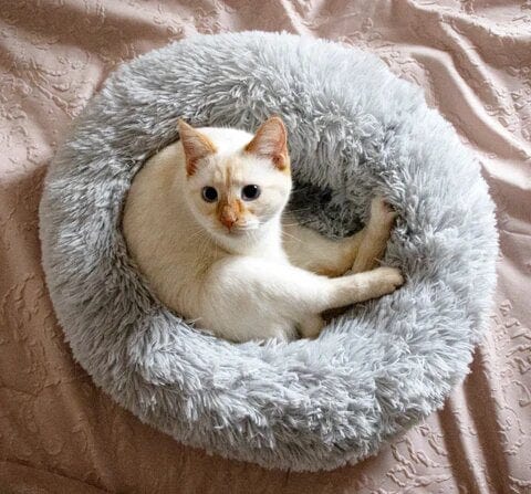 Skanto | Fluffy Calming Pet Bed for Dogs and Cats