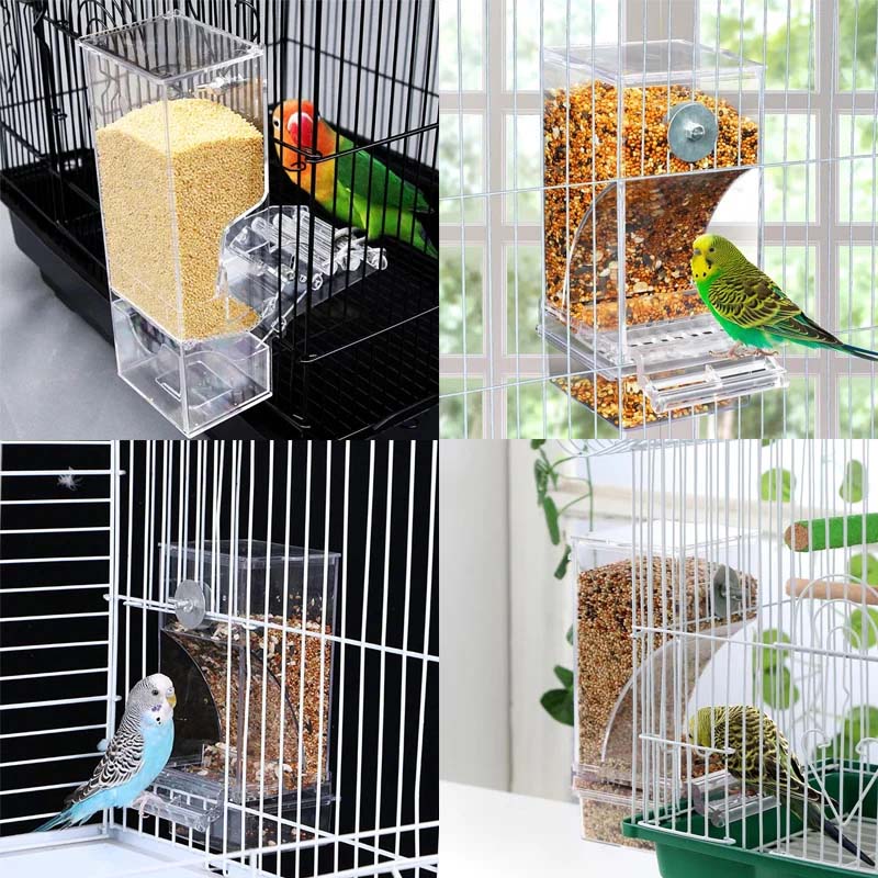 Automatic overflow protection Transparent bird feeder | Bowlift