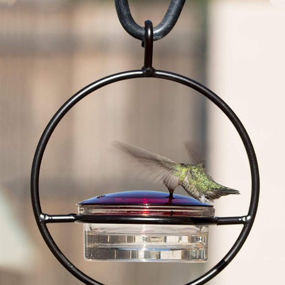 BowLift | Simple Hummingbird Water Dispenser Made of Metal