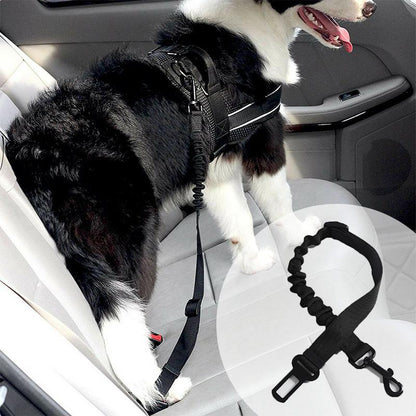 Skanto | Adjustable Dog Seat Belts