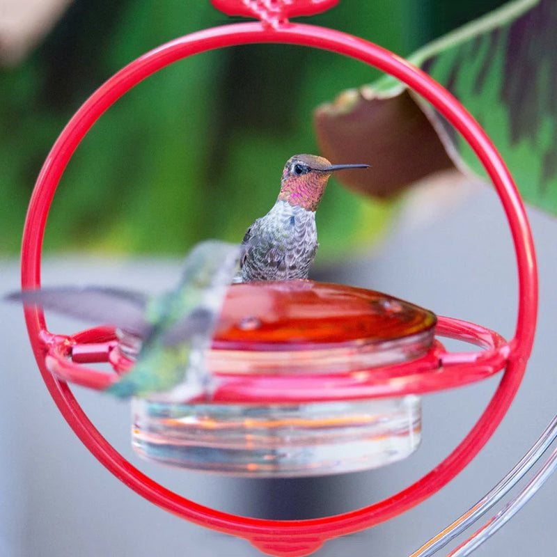 BowLift | Simple Hummingbird Water Dispenser Made of Metal