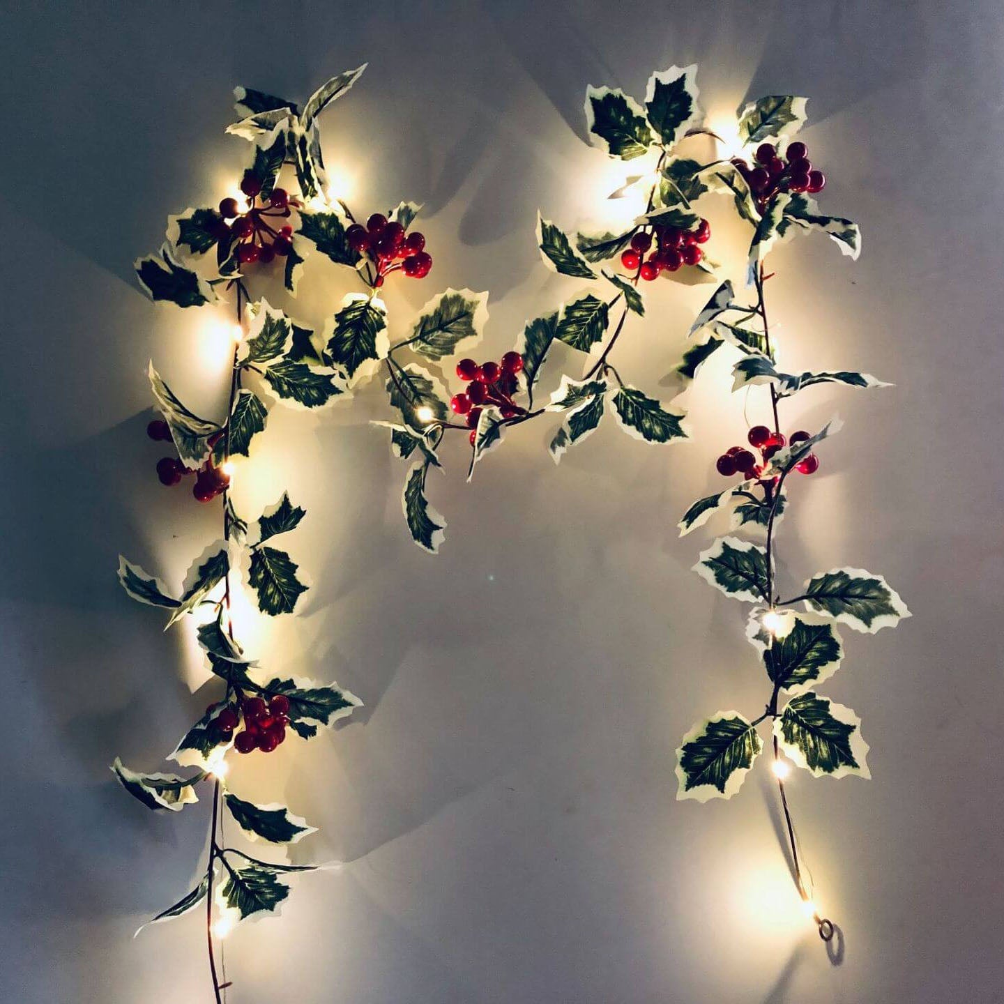 Skanto | Christmas Red Fruit Rattan Festival Window Patio Party Thanksgiving Decoration Light Chain