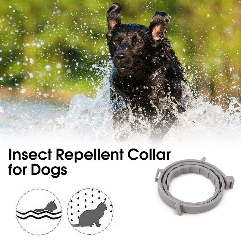 Skanto | Adjustable Pet Insect Repellent Collar