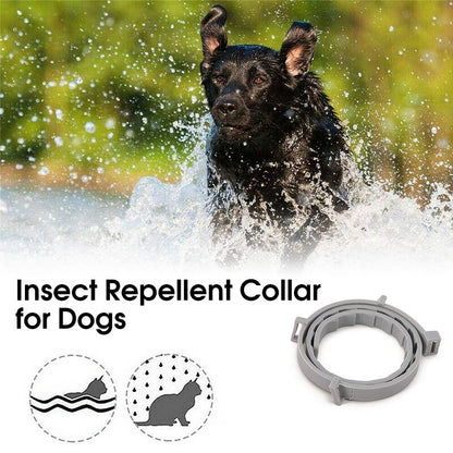 Skanto | Adjustable Pet Insect Repellent Collar