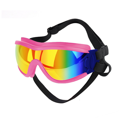 Skanto | Outdoor Dog Goggles