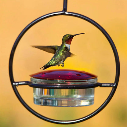 BowLift | Simple Hummingbird Water Dispenser Made of Metal