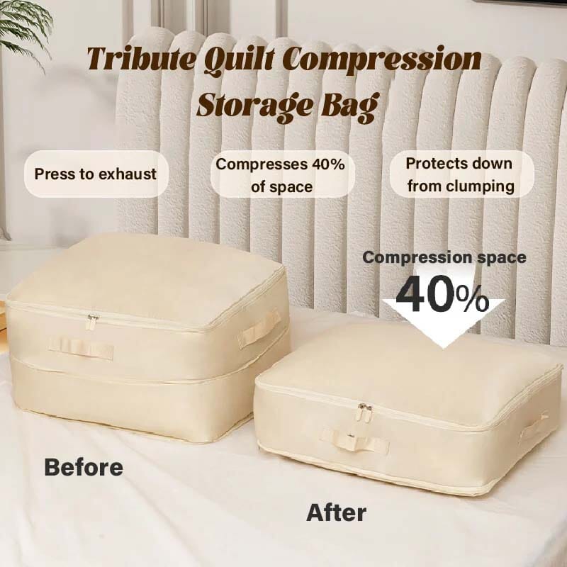 Extremely space-saving, self-compressing organizer