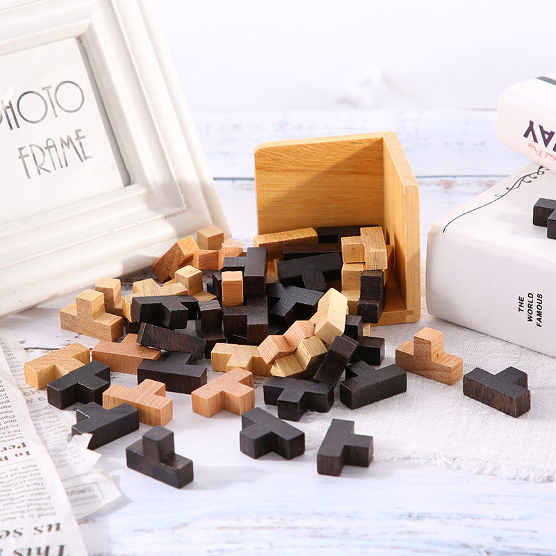 Wooden Brain Teaser Game