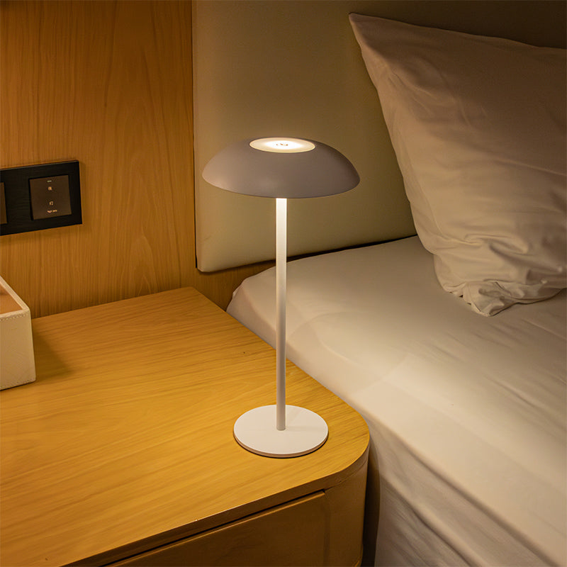 Skanto | Iron Elegance Lamp