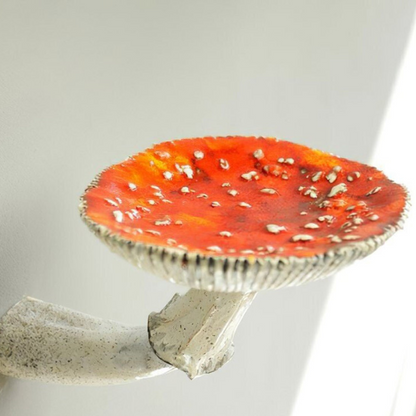 Skanto | Floating Mushroom Shelf
