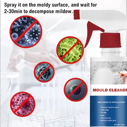 Skanto | Mold Remover Foam