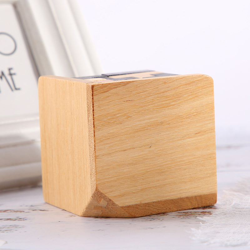 Wooden Brain Teaser Game